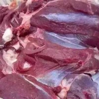 鸵鸟肉新鲜速冻鸵鸟肉鸵鸟腿冷鲜批发