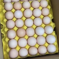 大量批发新鲜土鸡蛋
