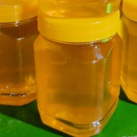 土蜂蜜，自家的